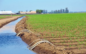 irrigation-maroc