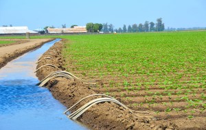 irrigation-maroc-1
